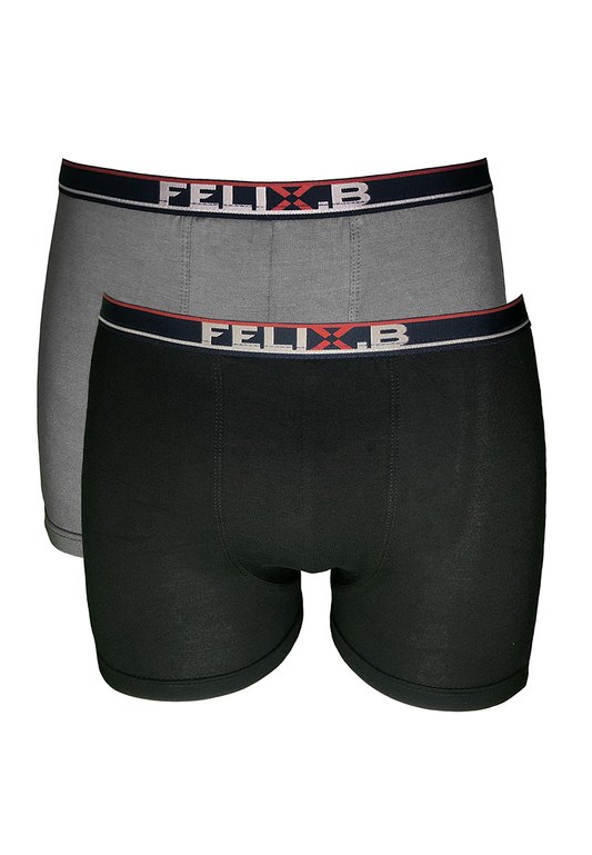 Felix.B Rayon Spandex Shorty 2in1 FB121013-2