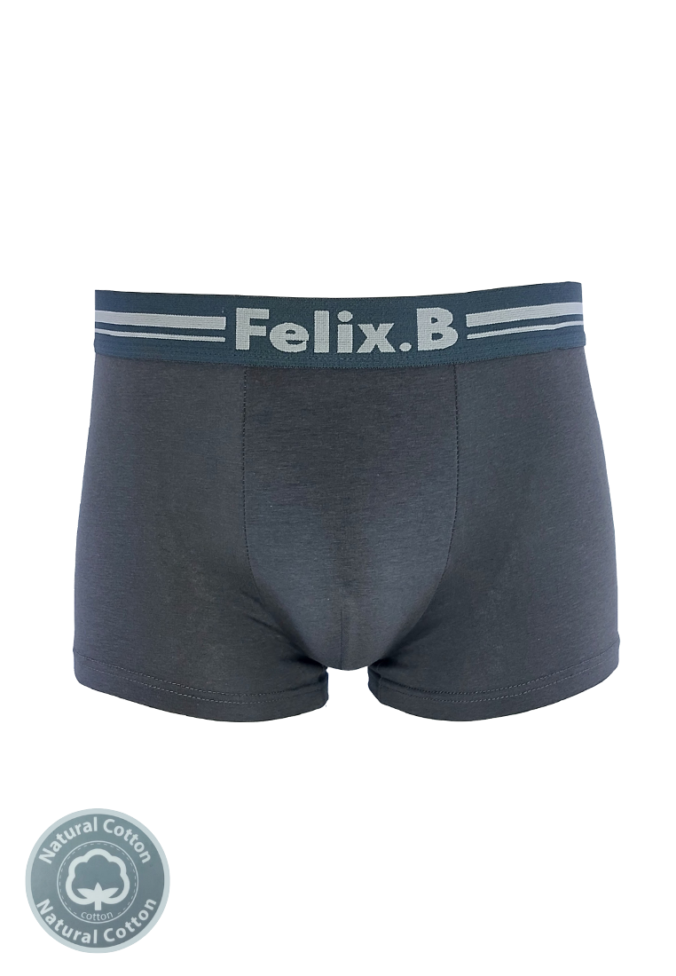 Felix.B Cotton Spandex Shorty in1 FB2156-3