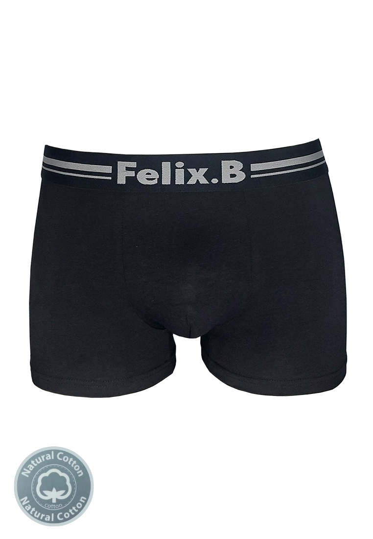 Felix.B Cotton Spandex Shorty in1 FB2156-3